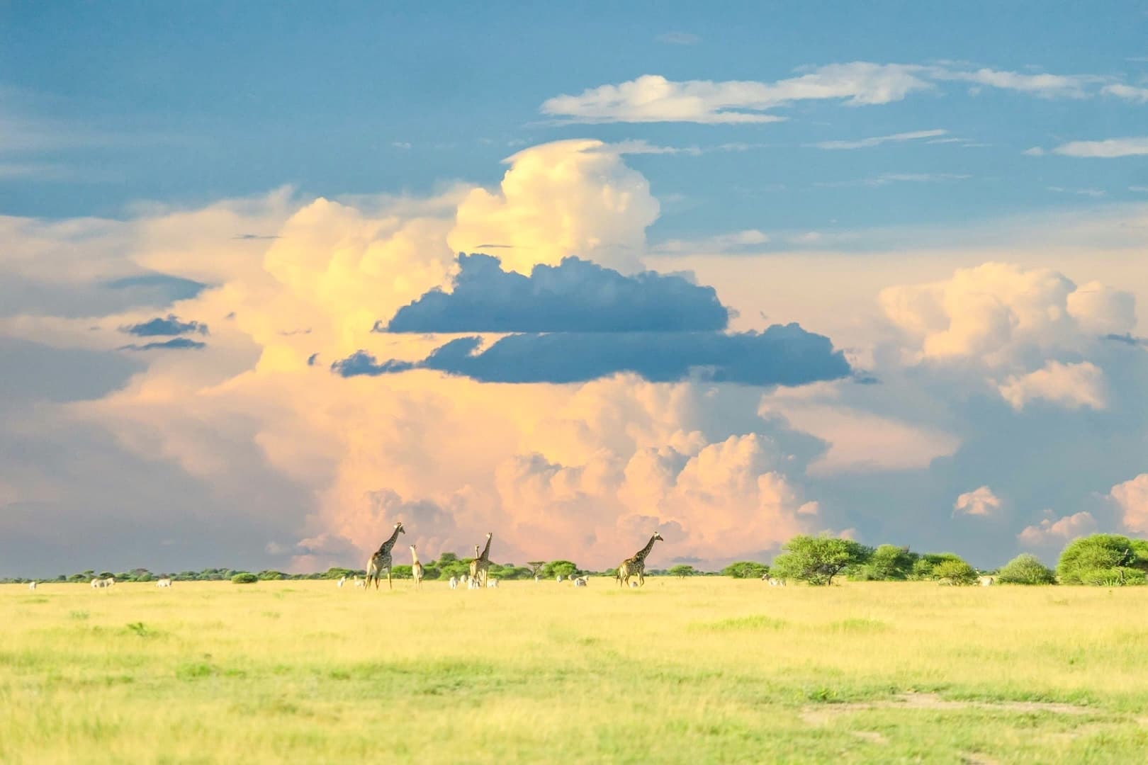 Botswana