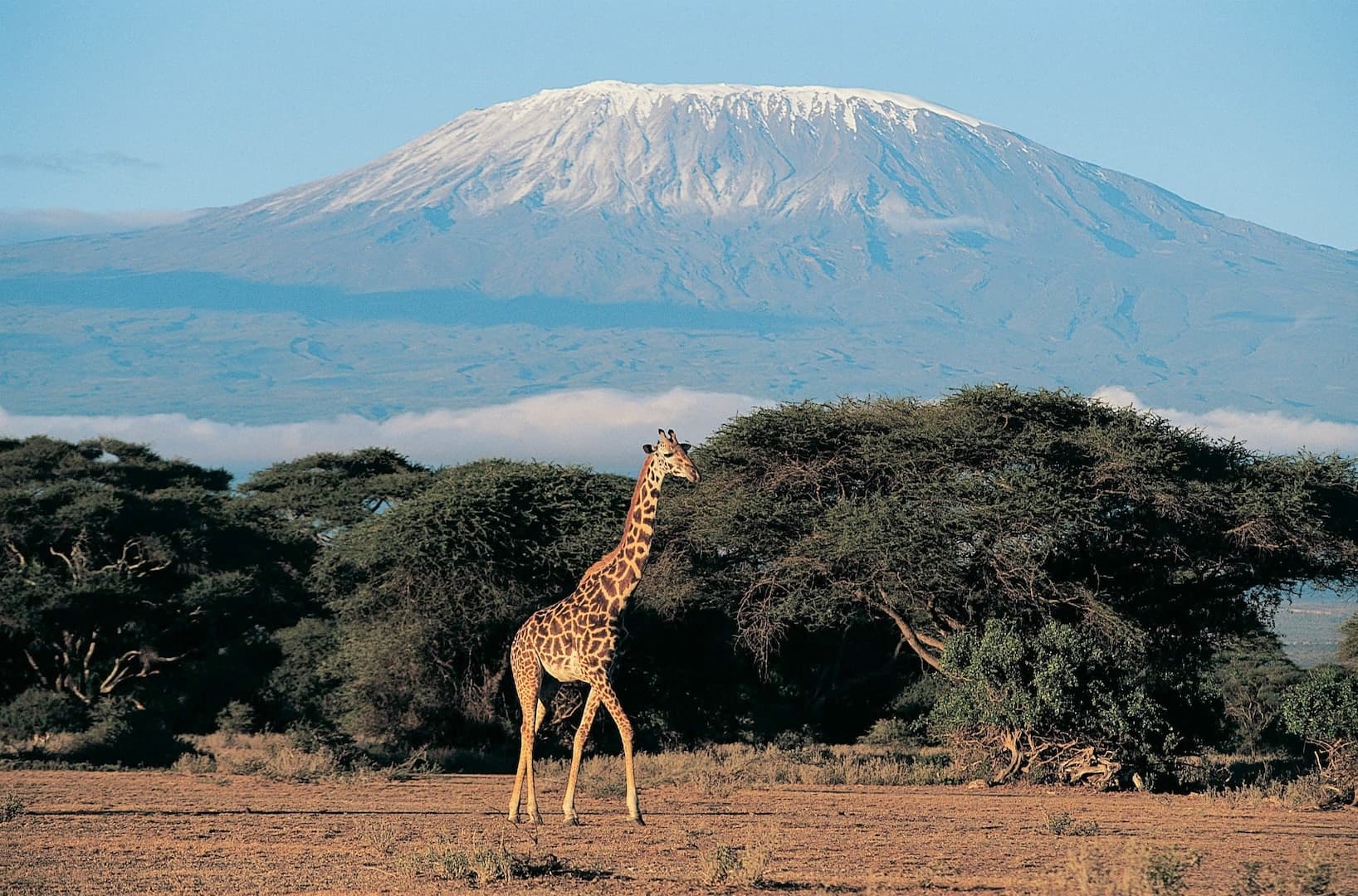 Kenia