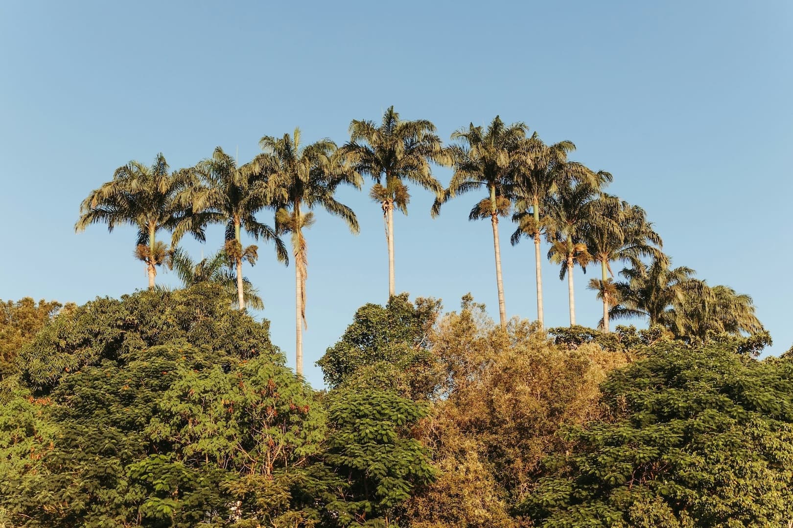 Liberia
