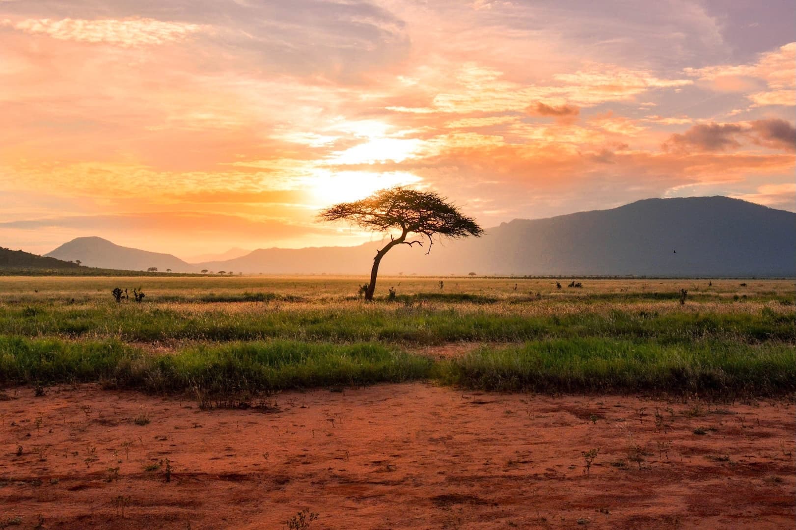 Malawi